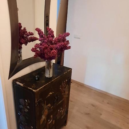 Schone Wohnung In Der Grazer Innenstadt Extérieur photo