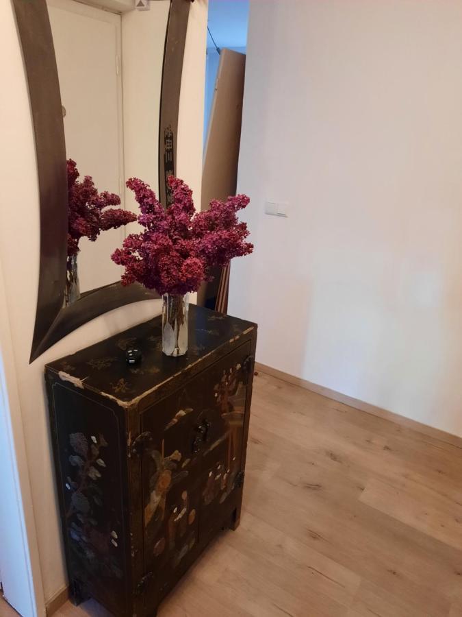 Schone Wohnung In Der Grazer Innenstadt Extérieur photo
